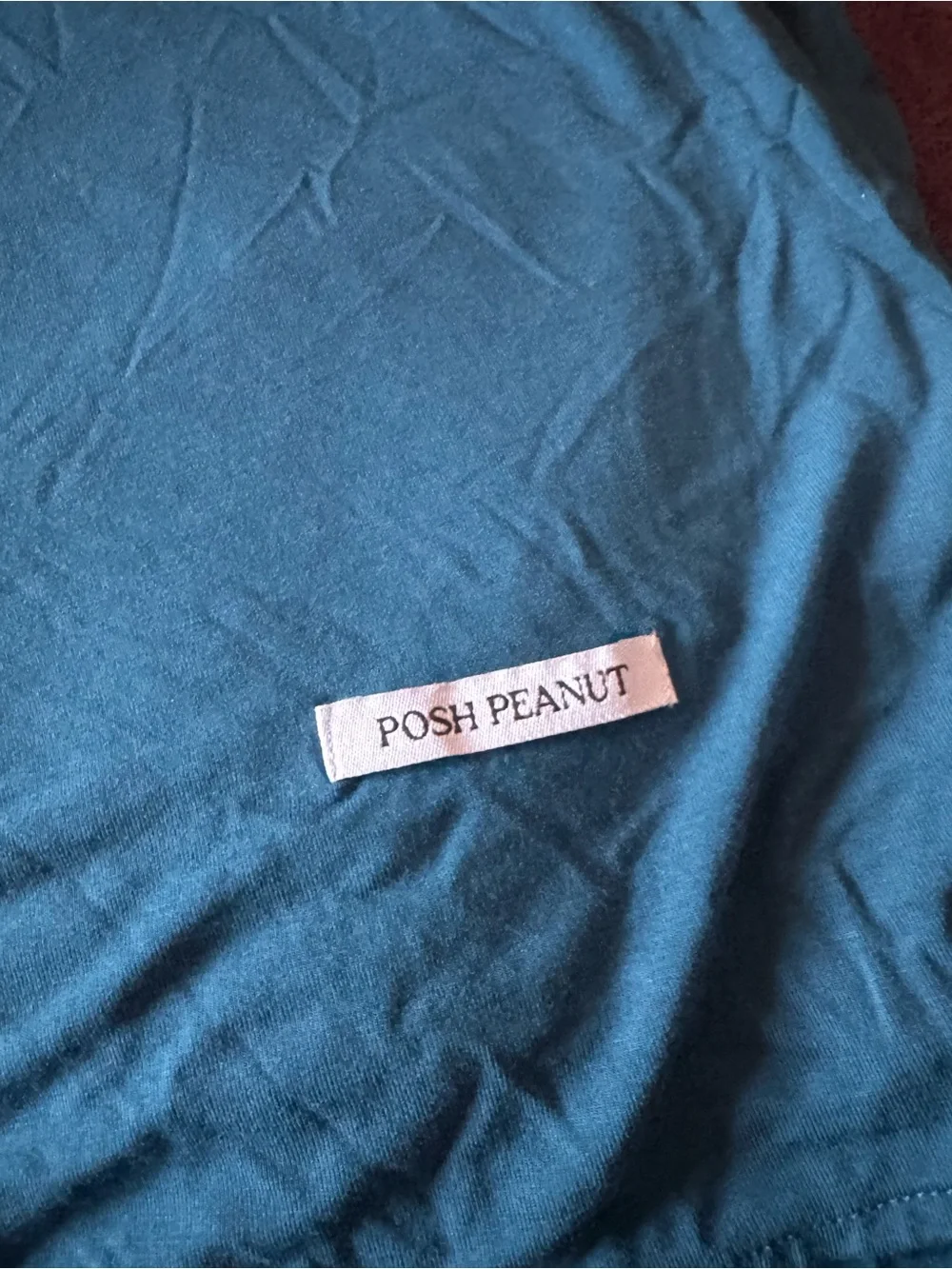Posh Peanut Teal Swaddle Blanket & Hat Set